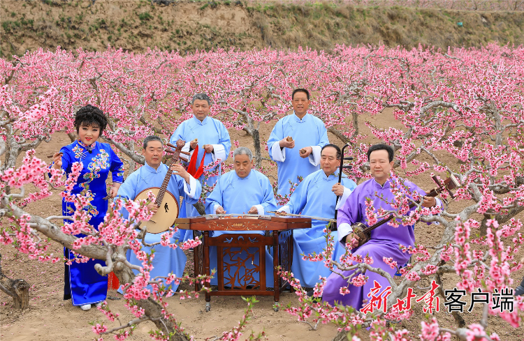 秦安小曲在秦安桃花节演出。